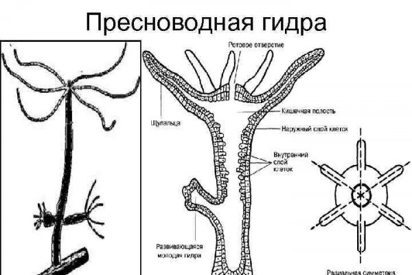 Ссылка на сайт мега